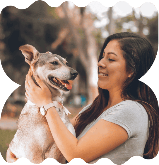 Dogfix Woman caring for a Dog