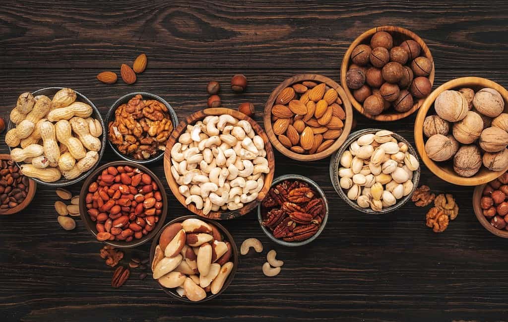 A variety of healthy nuts and seeds in different bowls for dog diet supplements or treats.