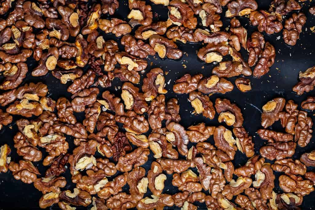 Close-up of walnut nuts, healthy snack or recipe ingredient, top view.