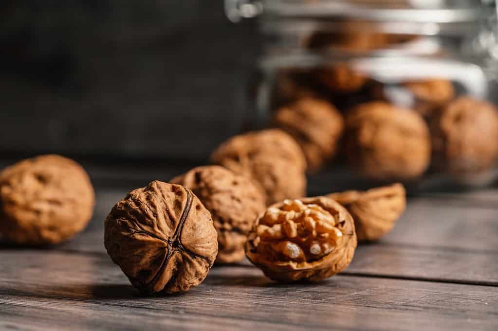 Close-up of walnuts on wood, healthy snack, nature food ingredients.