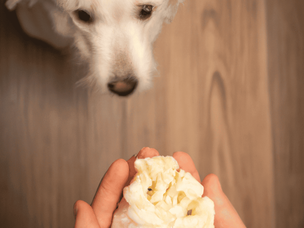 Cute dog cautiously approaches ice cream treat.