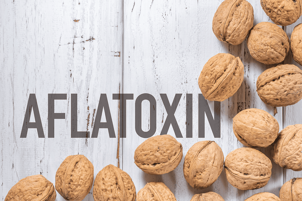 All natural walnuts for dog health detox, nutritional supplements, or immune support.