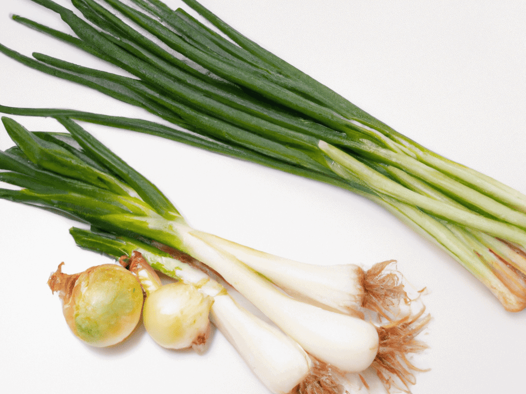 Fresh green onions, scallions, and spring onions for dog nutrition or healthy recipes.