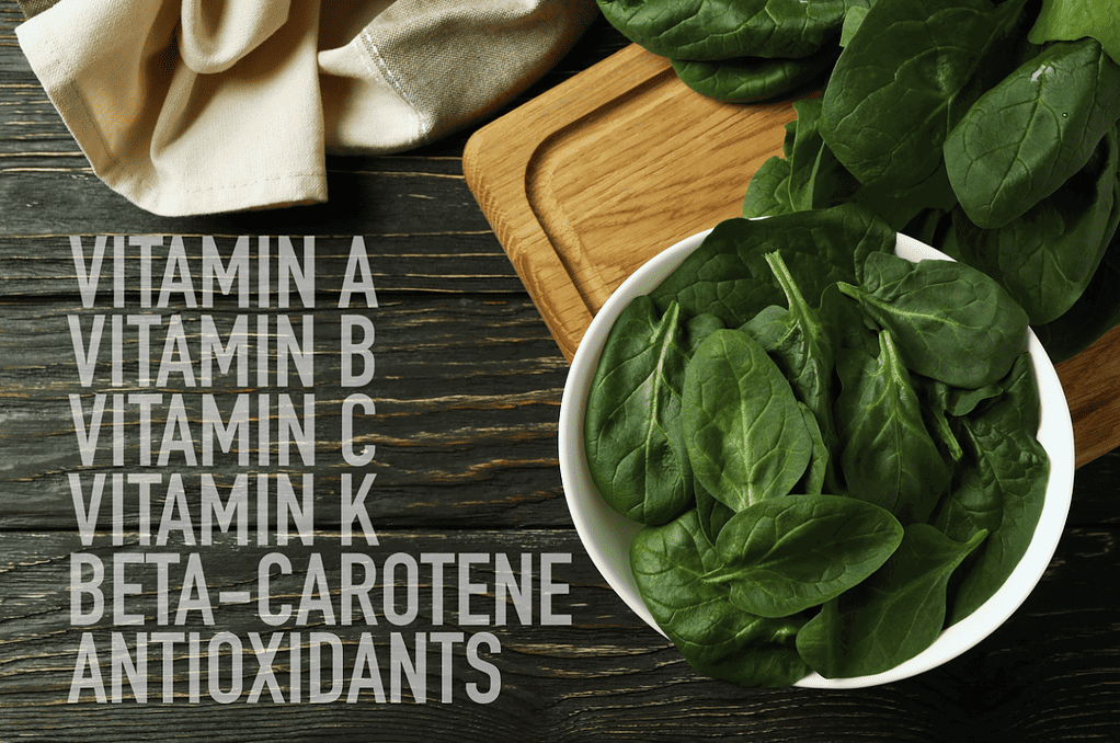 Crisp green spinach leaves highlighting vitamins A, B, C, K, and antioxidants for canine health.