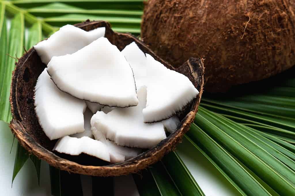 Fresh coconut meat slices in natural coconut shell on tropical leaves for healthy snacking.