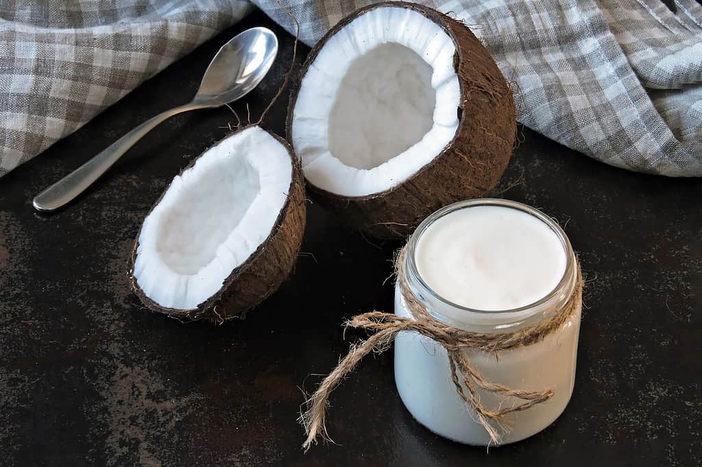 Healthy coconut yogurt, dairy-free, probiotic-rich snack with natural ingredients.