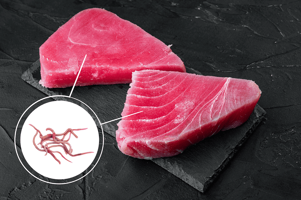 High-quality raw tuna fillet for dog health and nutrition, emphasizing safe, fresh seafood options.