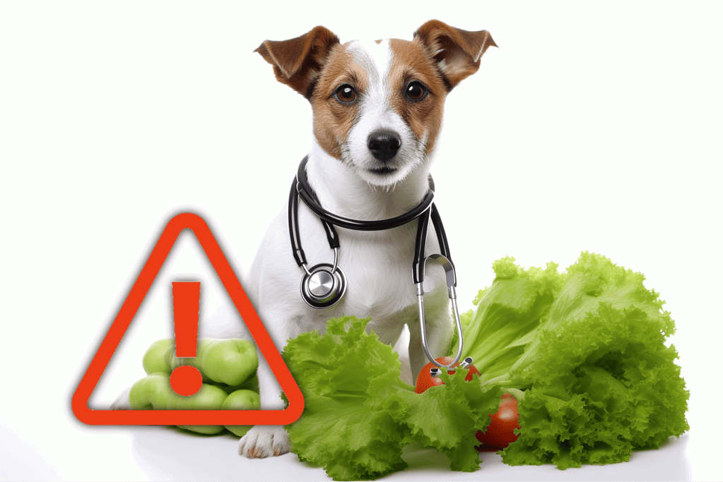 Dog wearing stethoscope with vegetables and warning sign.