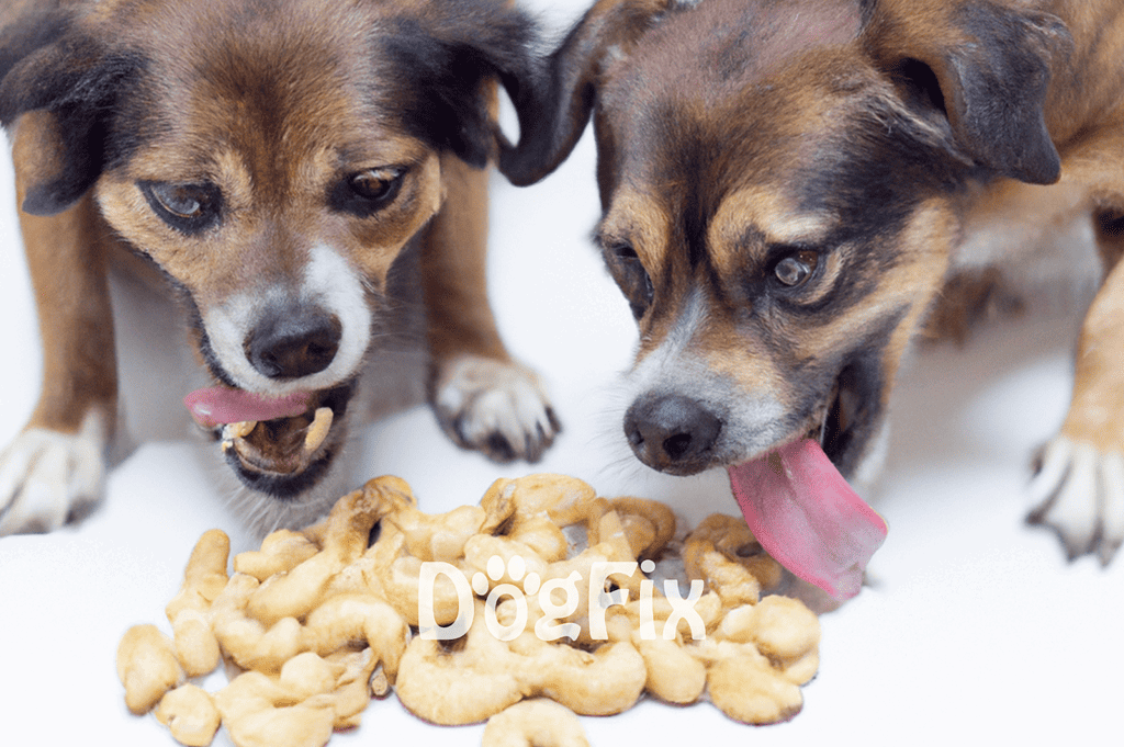 Two playful puppies enjoying dog treats on a white background.