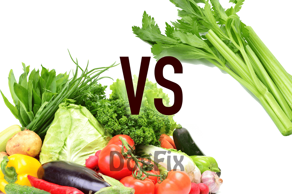 Bright, healthy vegetables including lettuce, tomatoes, peppers, eggplants, garlic and greens for nutritious diet.