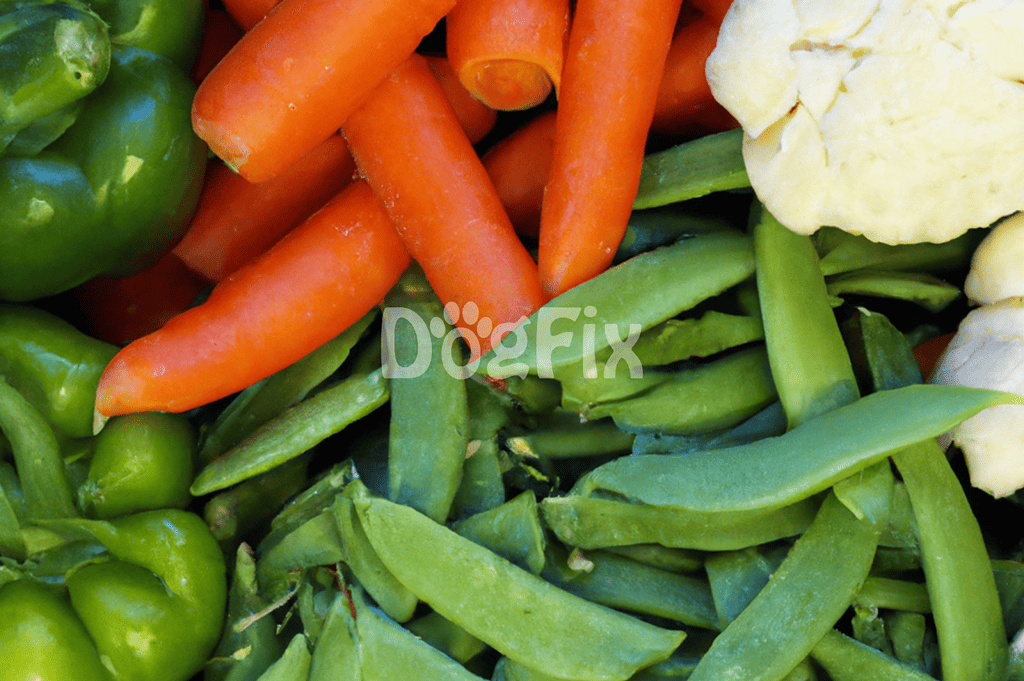 Colorful fresh vegetables including green peppers, carrots, and cauliflower for healthy dog diet.