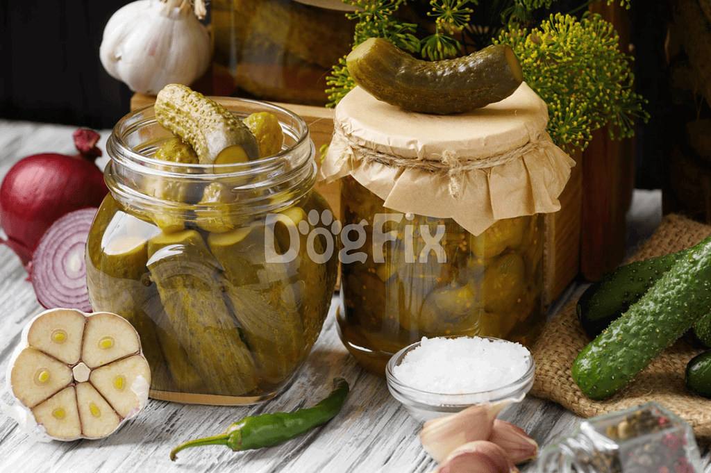 Fresh pickles and vegetables in jars, garlic, and seasonings for homemade dog treats and healthy pet food options.