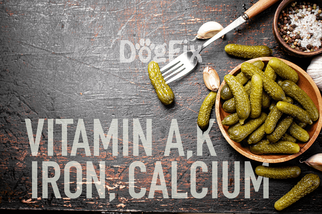 Healthy homemade pickles with garlic and spices, perfect for dog nutrition and vet-approved snacks.