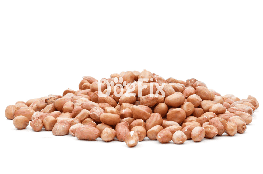 Healthy nuts for dogs on white background, natural dog treats, safe snacks for canine health.