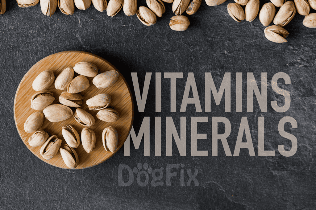 Pistachio nuts and minerals on slate, healthy dog nutrition, pet vitamins and supplements, Dogfix.