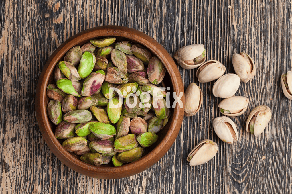 Close-up of raw pistachios in shells, ideal for healthy dog treats and pet nutrition.