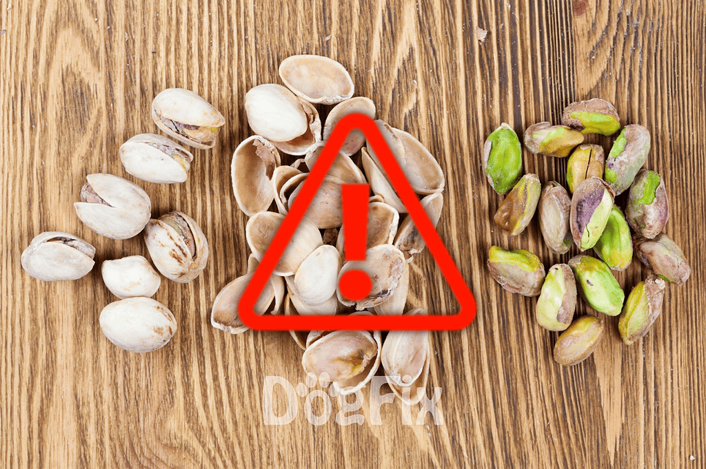 Allergen caution for nuts in pet snack ingredients—keep out of reach of pets.