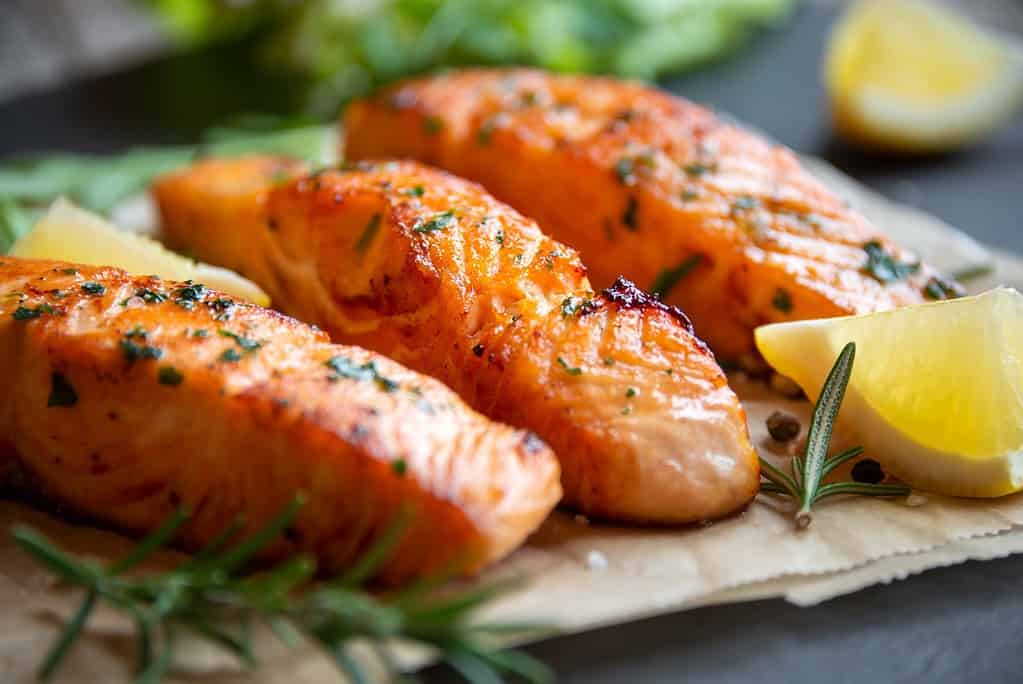 Delicious grilled salmon seasoned with herbs, served with lemon wedges for a fresh, healthy meal. Perfect for dog-friendly diets.