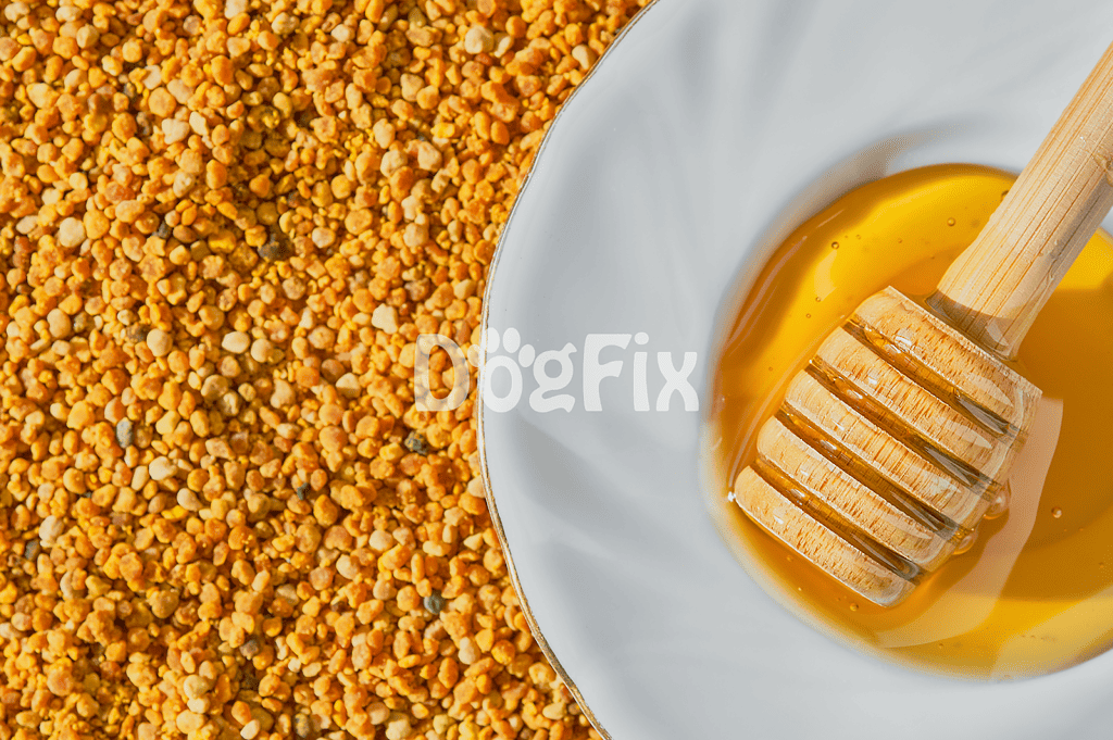 Close-up of bee pollen and honey with honey dipper, natural superfoods for dogs.