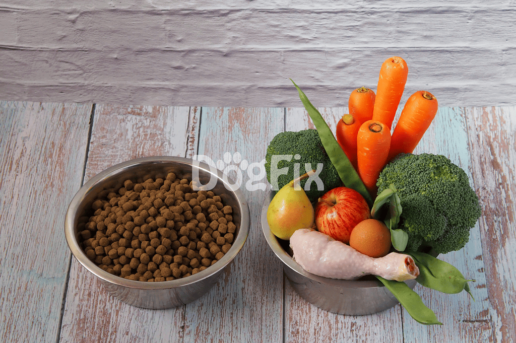 Healthy dog food with vegetables, chicken, and kibble, promoting optimal nutrition and well-being.