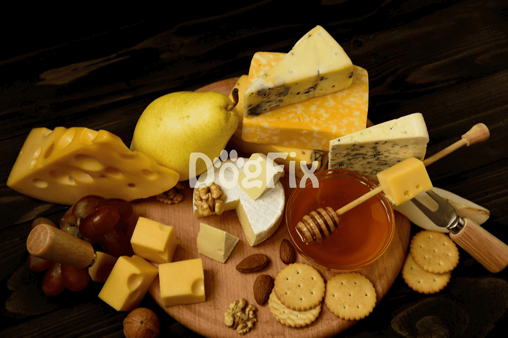 Dog-friendly cheese platter with cheeses, honey, fruit, and nuts for pets.