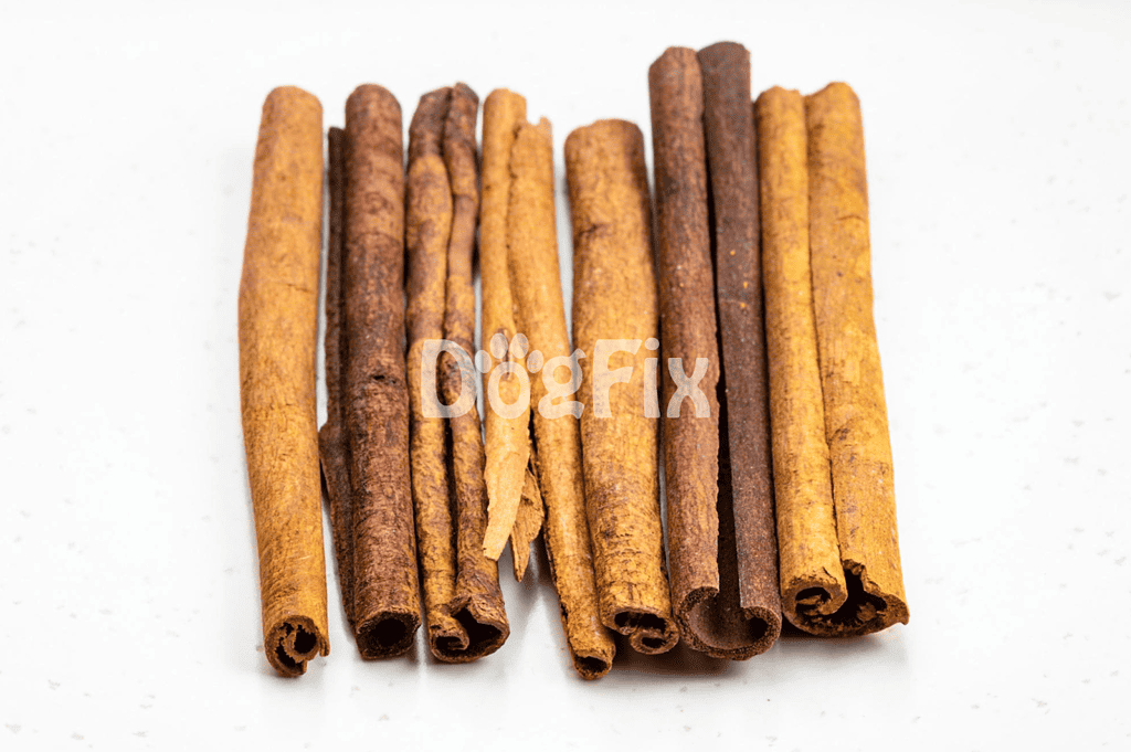 Cinnamon sticks on white background, natural dog treat, healthy dog snack, pet nutrition supplement.