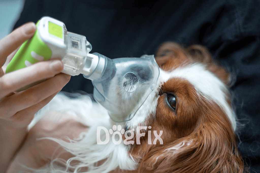 Dog receiving emergency oxygen mask treatment.