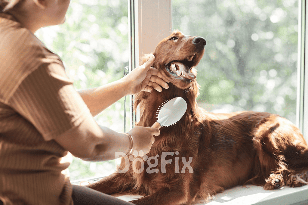 Dog grooming professional brushing a golden retriever's fur, providing pet grooming services for healthy coats.