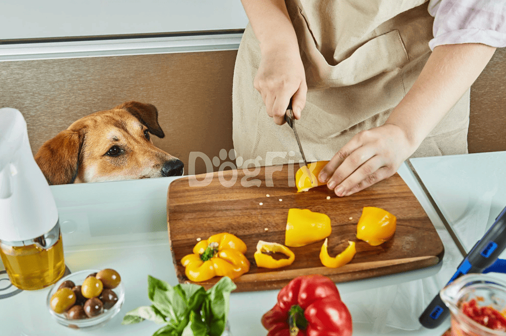 ALT text: Person slicing yellow bell peppers with dog watching eagerly at the counter.