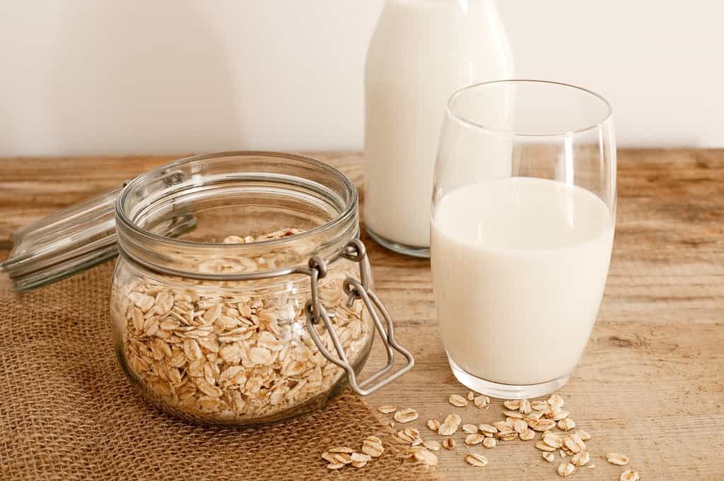 Alt text: Fresh oat milk poured into a glass with oats and a jar, natural dog-friendly milk alternative.