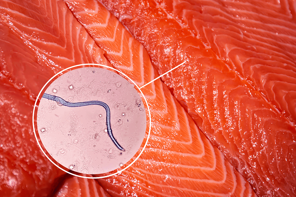 Fresh salmon fish cut with microchip and micro-needle, highlighting innovative technology in seafood sourcing.