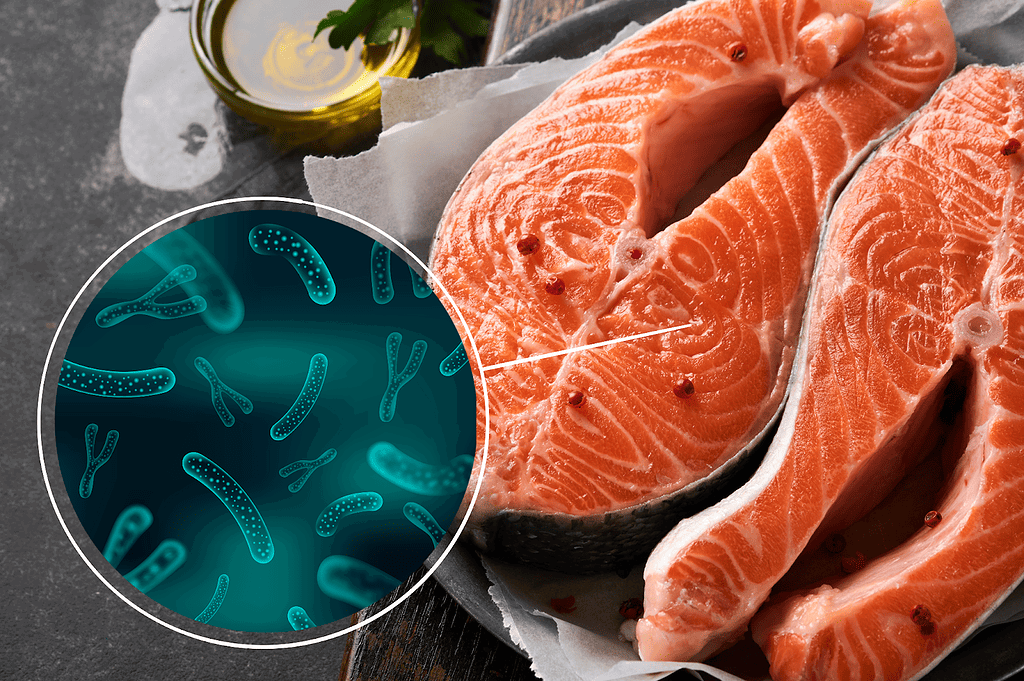 High-quality salmon for dog nutrition and health.