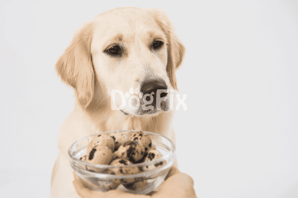 Golden retriever puppy holding a bowl of cookies or dog treats, promoting healthy pet snacks from Dogfix.com.