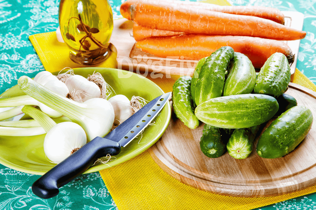 Fresh organic vegetables: carrots, cucumbers, garlic, and herbs for dog nutrition.