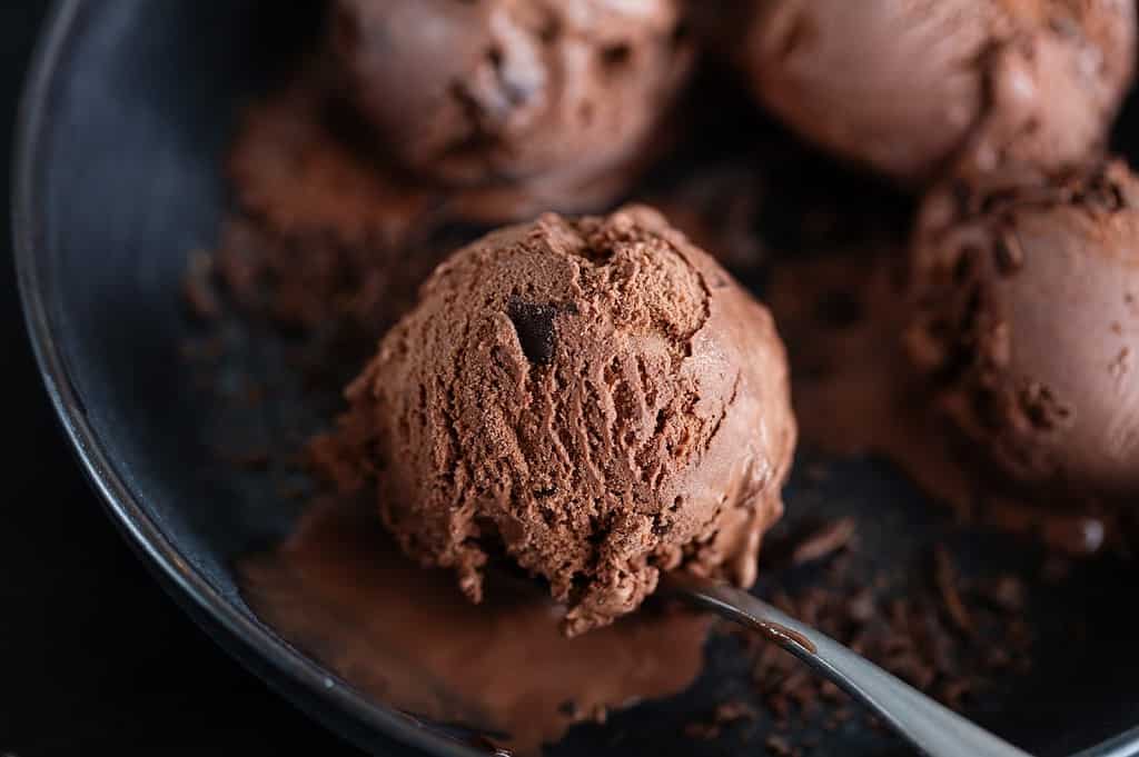 Creamy chocolate ice cream scoops in a bowl, perfect for dog-loving dessert enthusiasts.