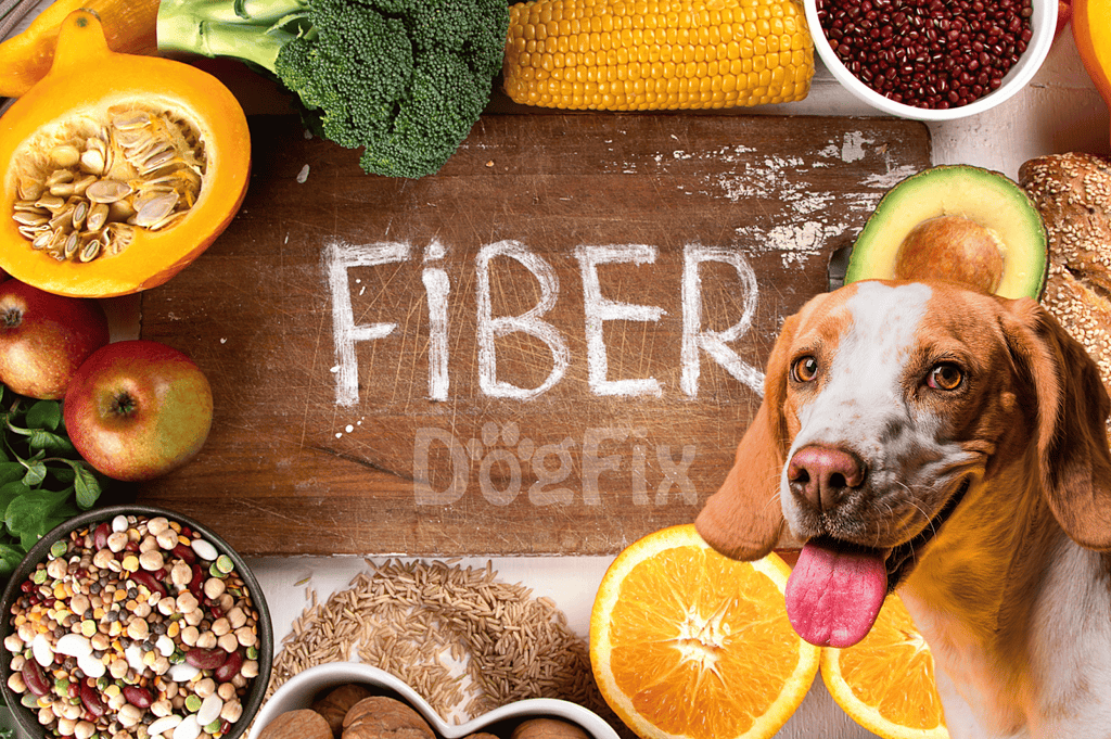 Healthy fiber foods for dogs, such as fruits and grains, for a balanced diet & better digestion.