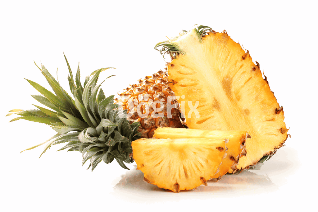 Fresh pineapple slice, healthy dog treat, tropical fruit for canine diet.