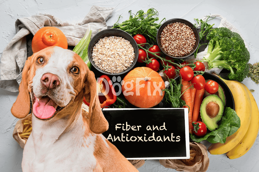 Healthy dog food with fresh produce, fiber, and antioxidants for optimal canine nutrition.