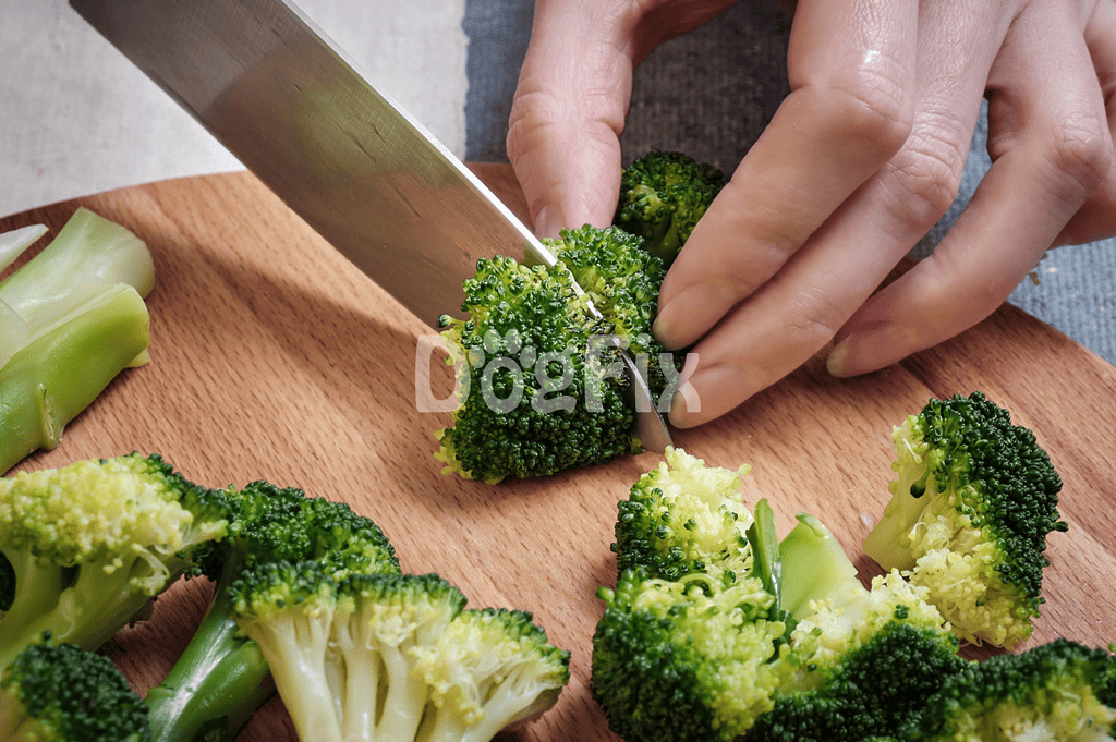 Healthy vegetables prepared for pet or human consumption.