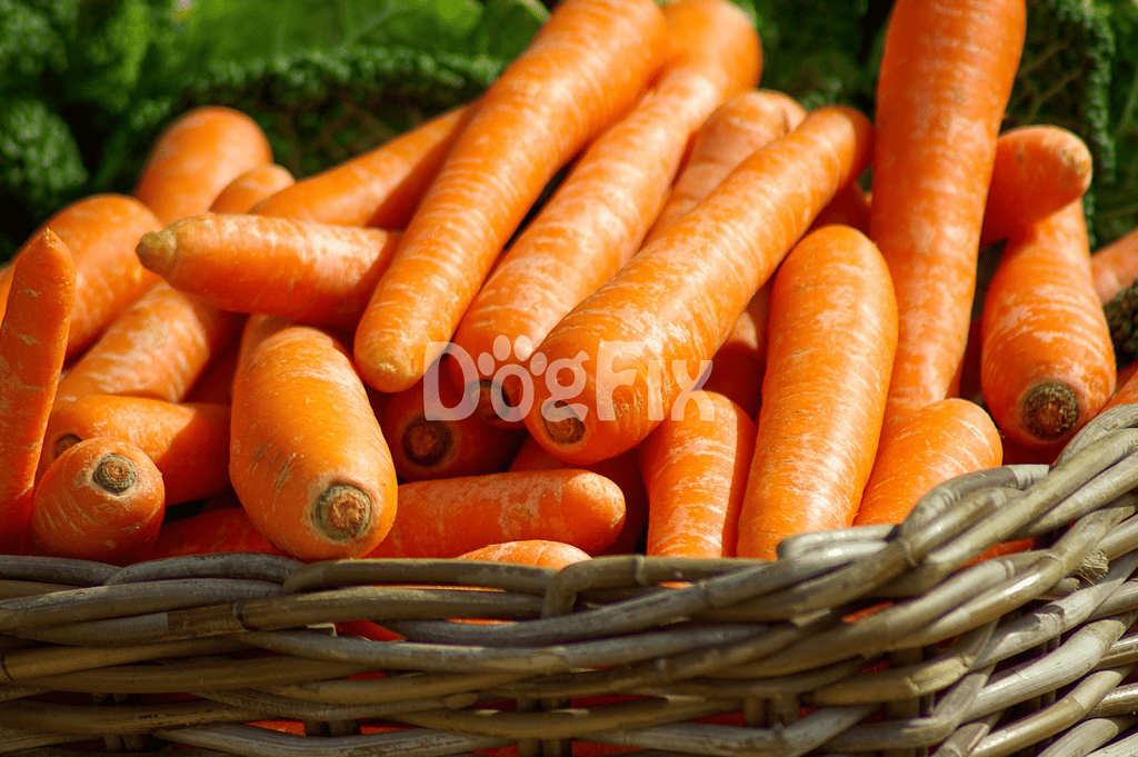 Healthy carrots for dog nutrition and treats.