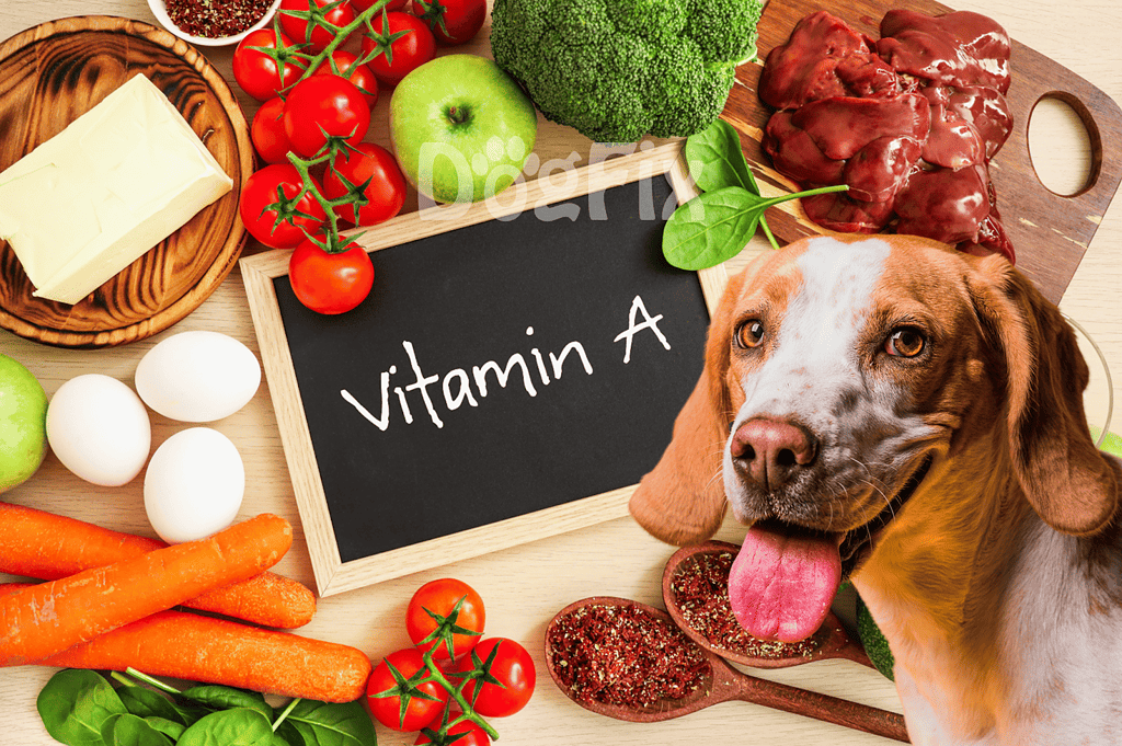 Dog-friendly vegetables and eggs for canine health.