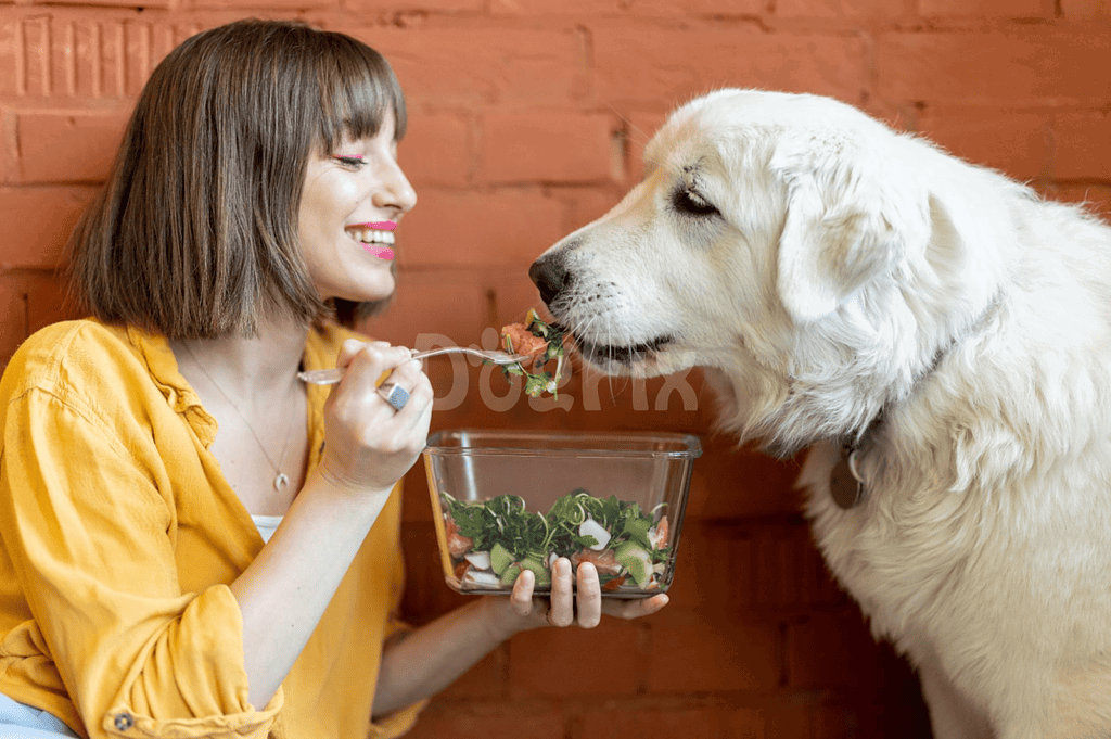 Healthy dog meal, woman feeding and caring for dog, pet nutrition, human-dog bond.