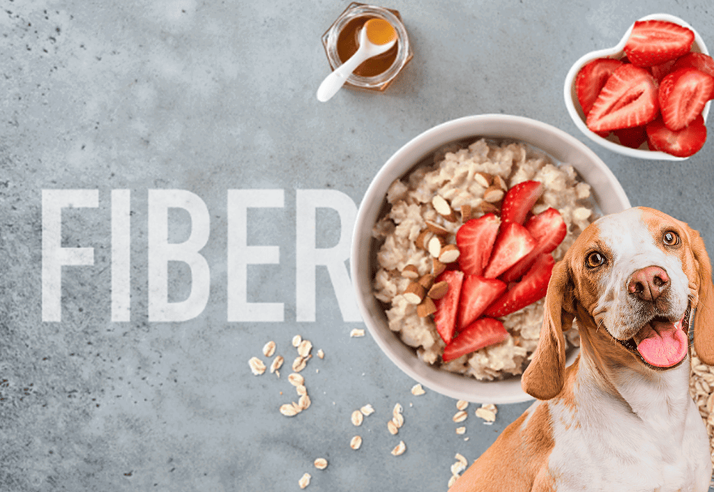 Dog food with strawberries, oatmeal, and nuts for healthy dogs.