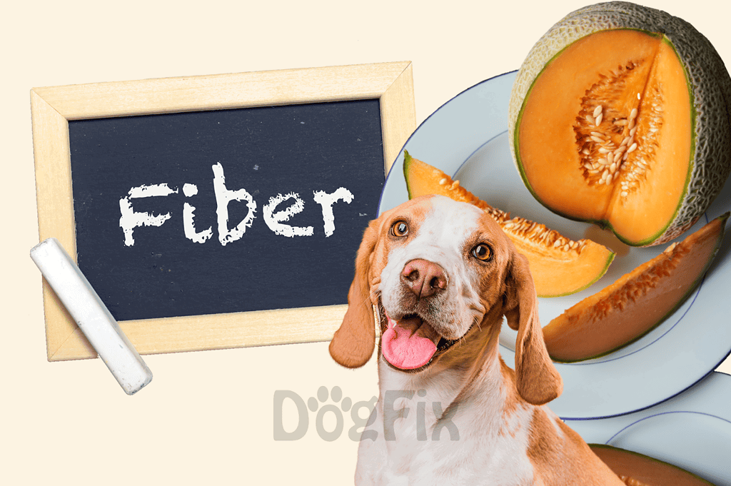 Healthy dog food with high fiber content.