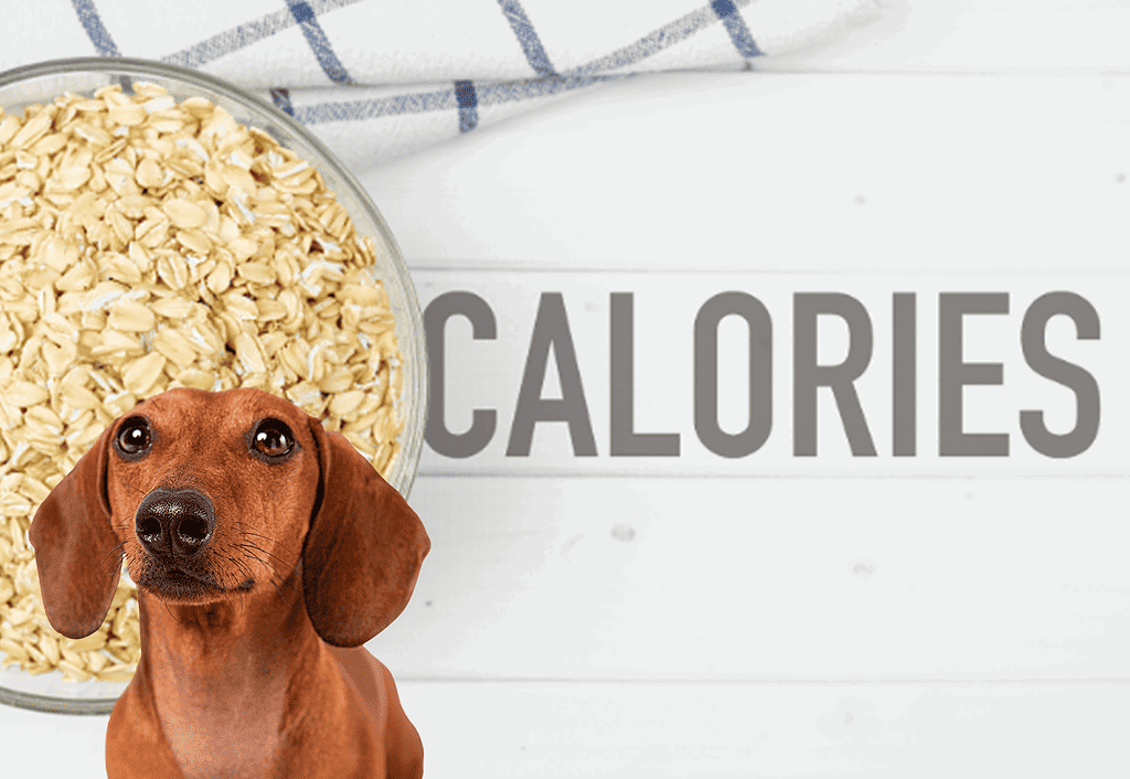 Dog dog food with oats and carbs for weight management.