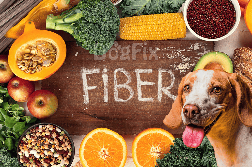 Bright, colorful dog food ingredients with fruits and vegetables.