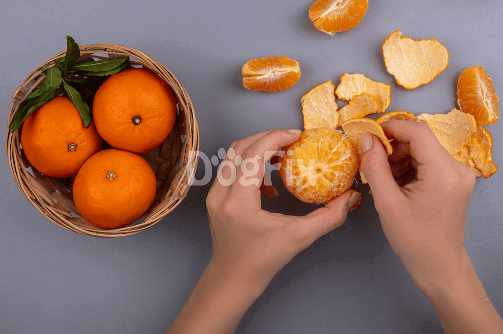 Fresh oranges being peeled, suitable for healthy dog treats.