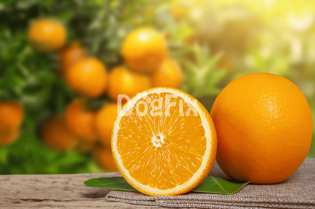 Bright orange fresh oranges, perfect for healthy dog treats and natural nutrition.