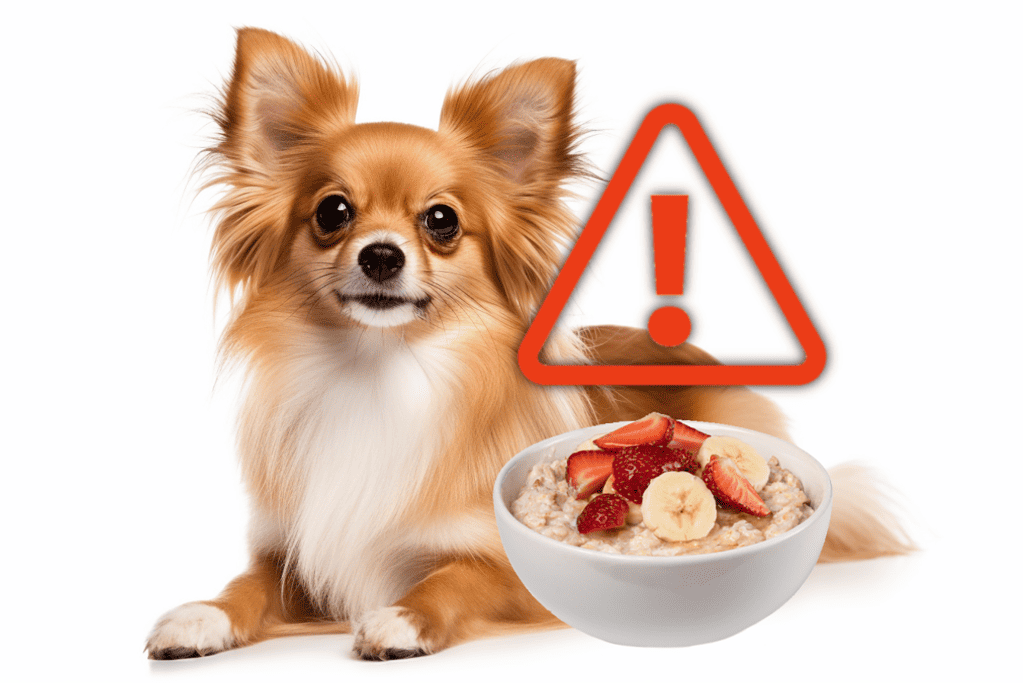 Dog eating oatmeal with strawberries, banana, and a warning icon.