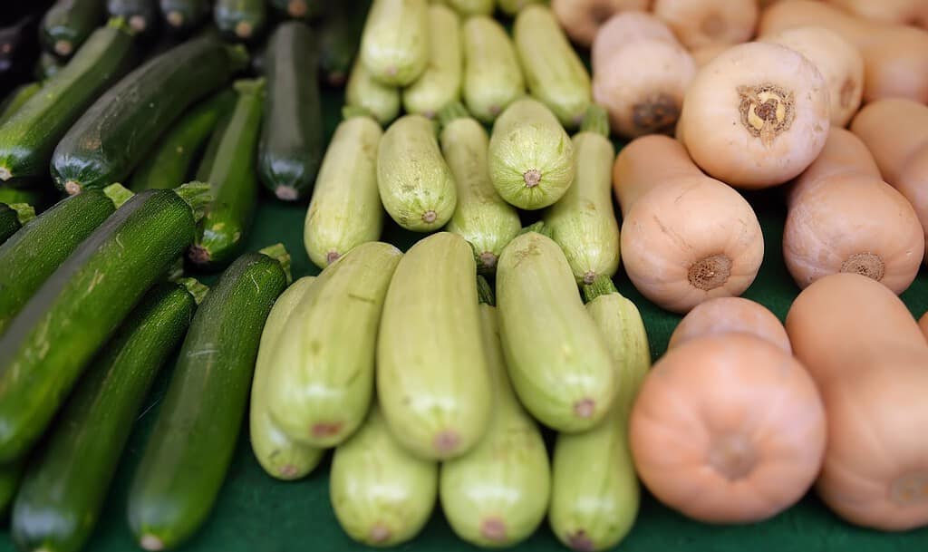 Vibrant zucchini and sweet onions displayed for sale at a local farmers market.